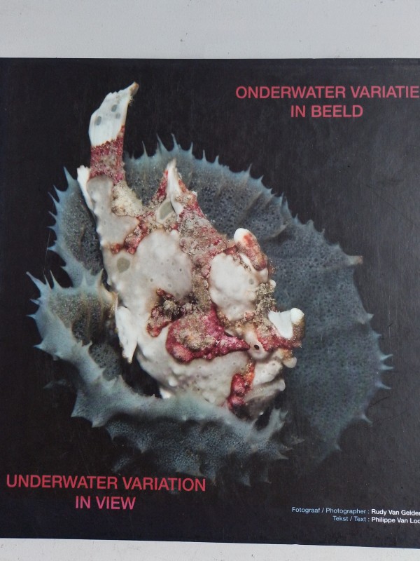 Onderwater variatie in beeld